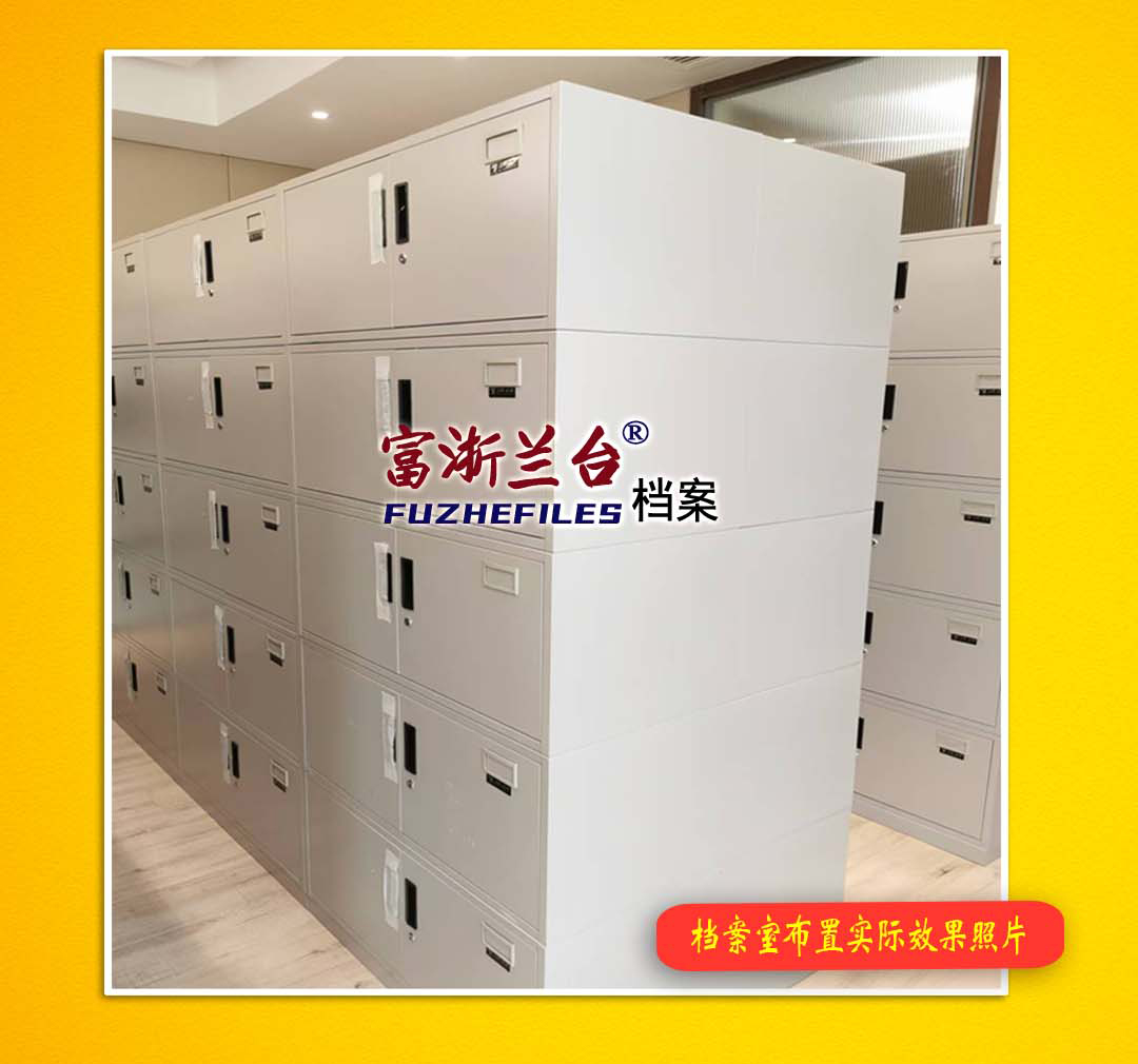 江南金狮亚光五层会计档案柜